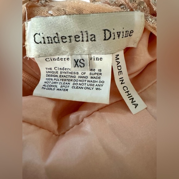 Cinderella Divine Full Length Prom/Formal Dress - Picture 5 of 5